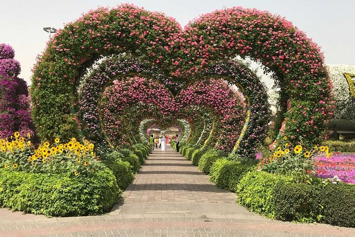A stroll through the Dubai Miracle Garden reveals stunning floral displays and unique designs providing a perfect backdrop for unforgettable photos and a peaceful escape in nature's embrace.